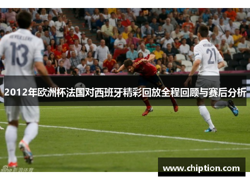 2012年欧洲杯法国对西班牙精彩回放全程回顾与赛后分析
